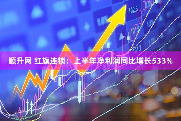 顺升网 红旗连锁：上半年净利润同比增长533%