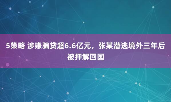 5策略 涉嫌骗贷超6.6亿元，张某潜逃境外三年后被押解回国